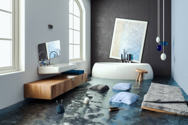 Best Mold removal after water damage  in Murphys, CA