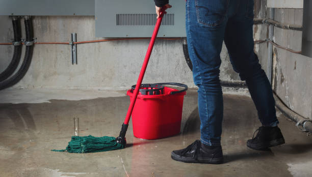 Best Water damage contractors near me  in Murphys, CA
