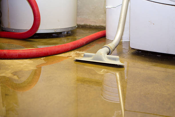 Best Emergency water extraction  in Murphys, CA
