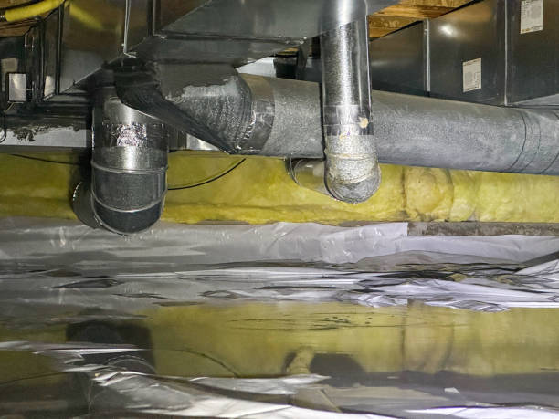 Best Water damage cleanup near me  in Murphys, CA